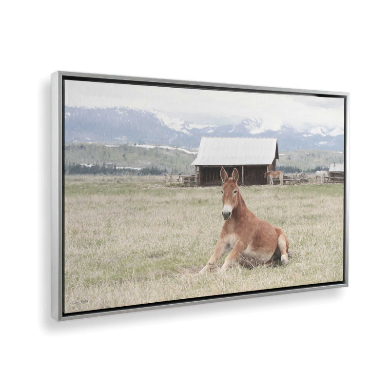 «Mountain Mule» par Lori Deiter, reproduction d'art, 12 W x 8 H, Silver, Framed Canvas