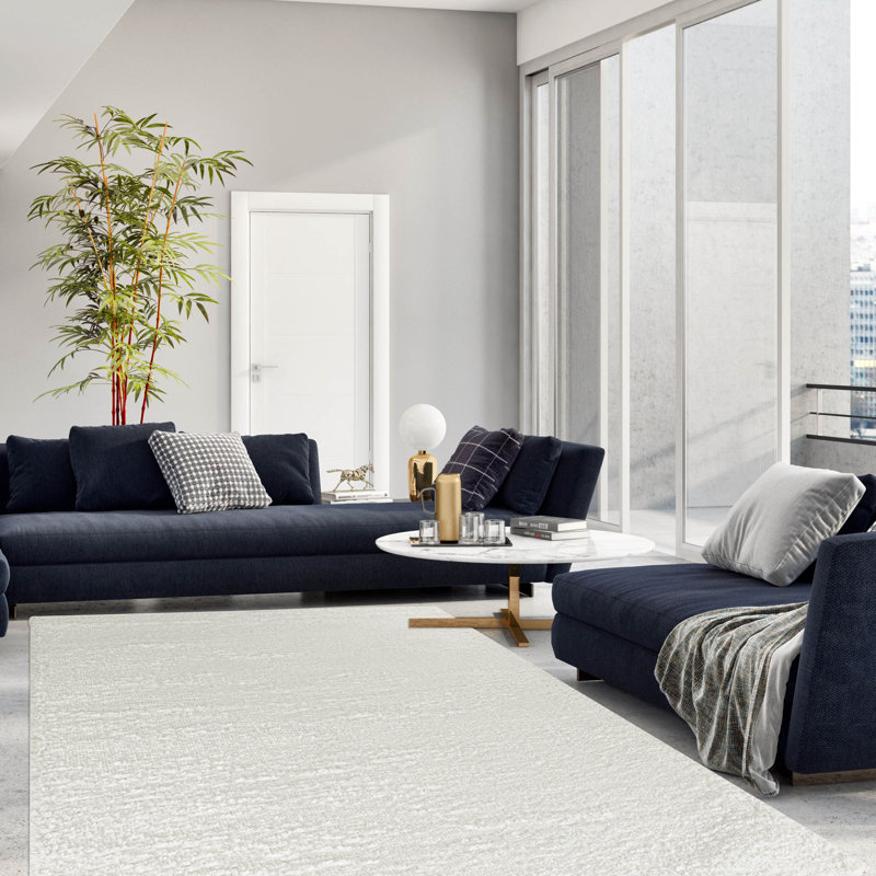 Aliaksandra Solid Machine Washable Shag Rugs, Rectangle 3'3" x 5'