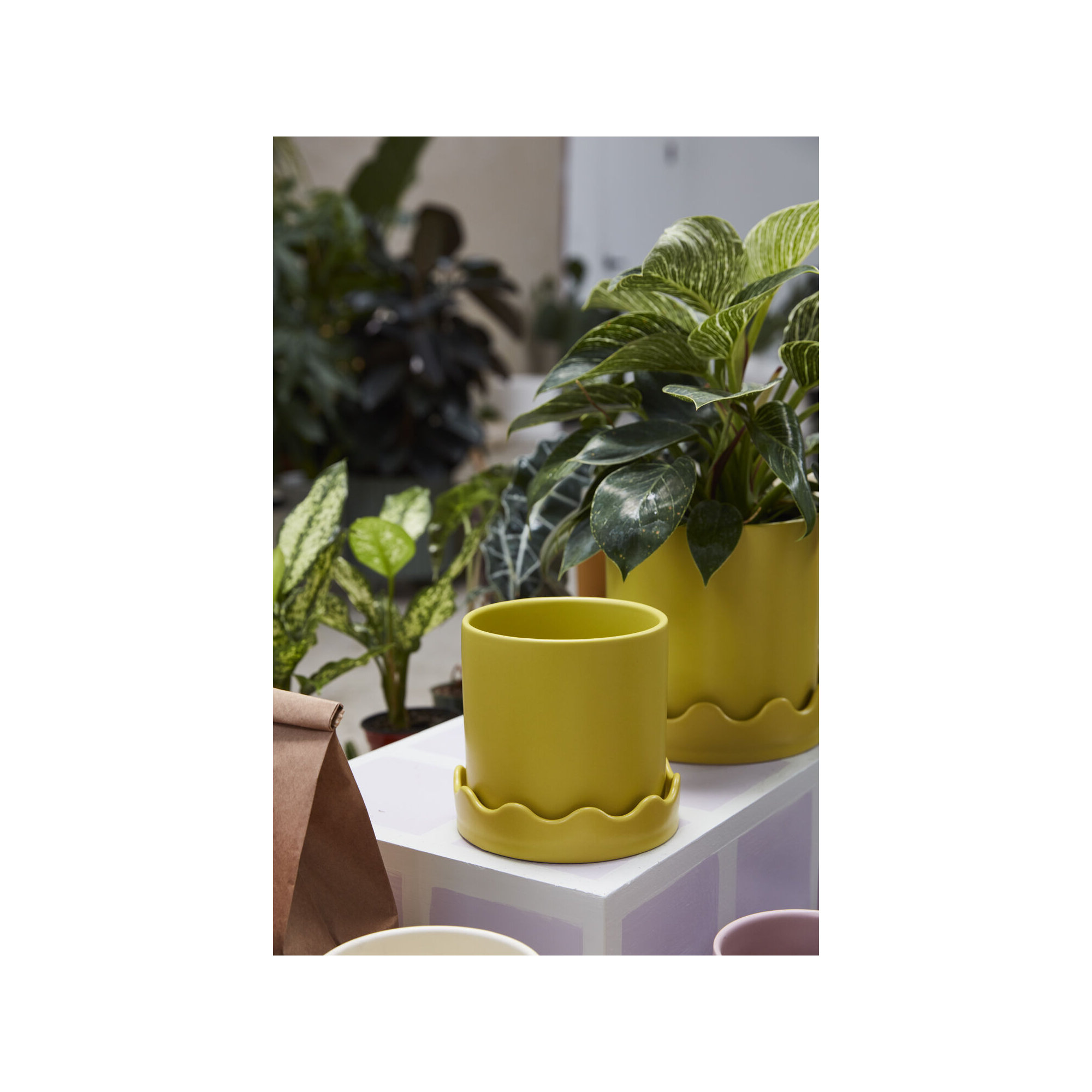 Winterview Pot with Saucer 7.5"x 7.25", 5.75" H x 6" W x 6" D, Yellow