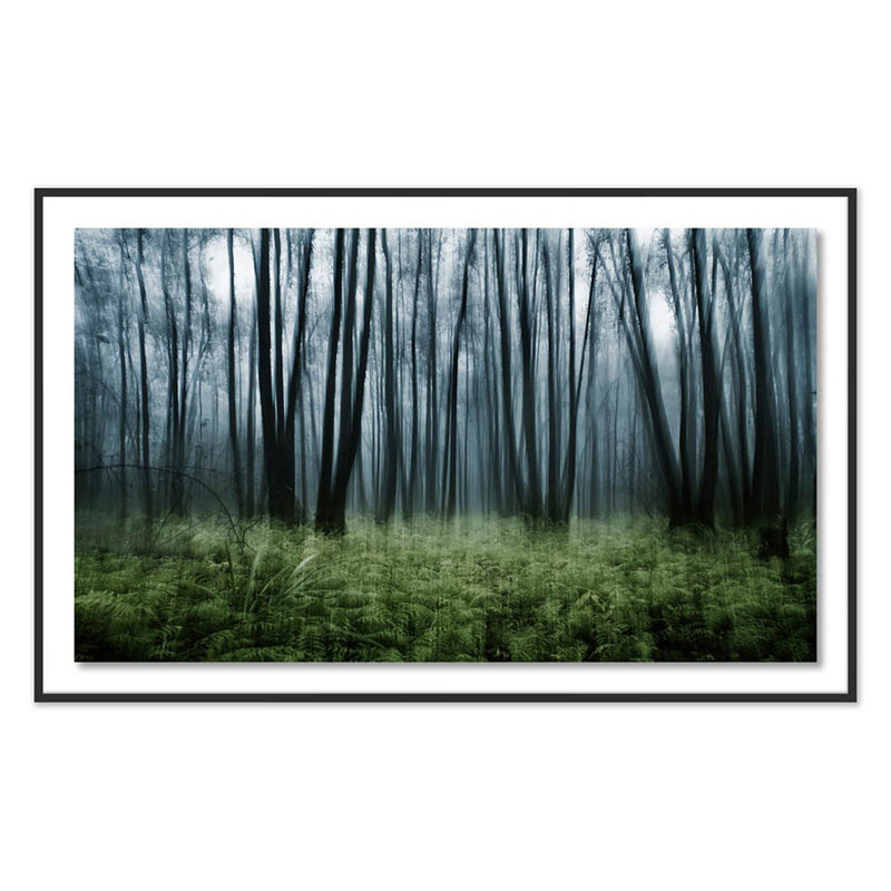 Eerie Trees IV Print by Jakob Wagner, 45" H x 72" W x 2.5" D, Black