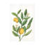 Art mural sur toile «bolologic sue schlabach»-101099004