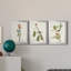 Pl. 15 parulines à dos jaune - ensemble de 3 impressions sur toile encadrées-1948435383-1948435388