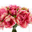 Peony Floral In Glass Vase-1657491728