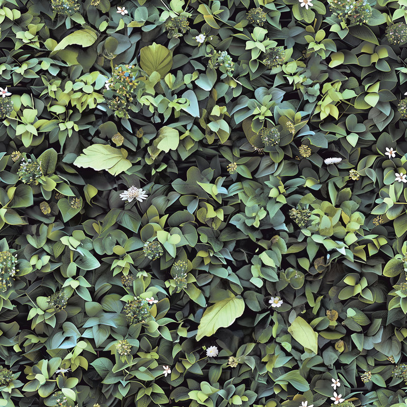 Papier peint Evergreen Living