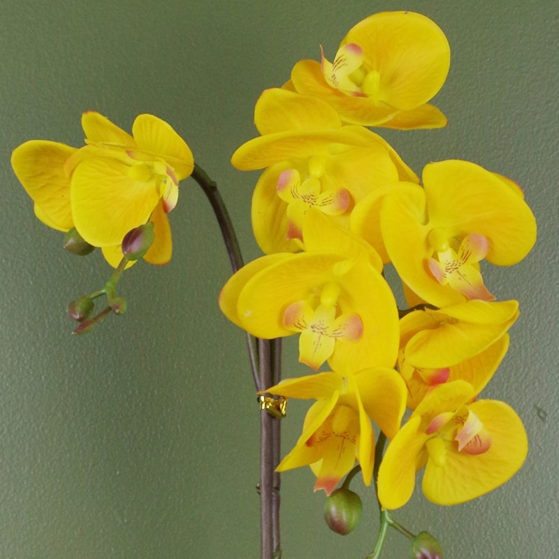 Plastic, Silk Artificial Arrangement in Pot, Yellow