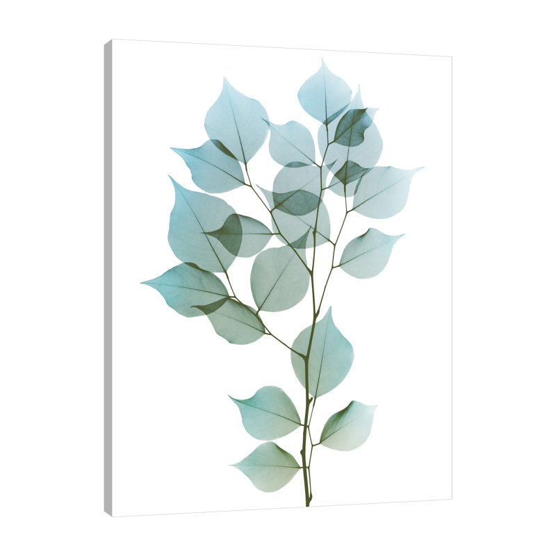 «Vibrant Dalbersia 1», toile tendue par Albert Koetsier, H 16 po x l 12 po x P 1,5 po