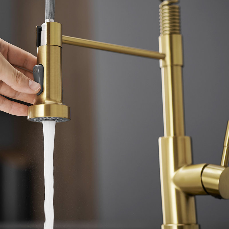 Kitchen Faucet With Pull Down Sprayer Stainless Steel Single Handle Pull Out Spring Sink Faucets, Brushed Gold