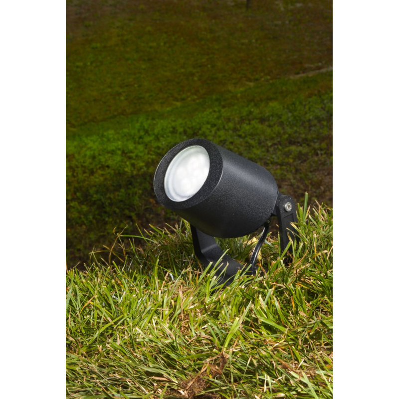 Carvey Black Resin Spotlight