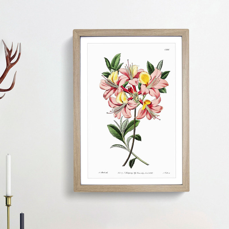 Pretty Pink Azalea Flowers - Picture Frame Painting Print, 65cm H x 48cm W x 2cm D, Oak Framed