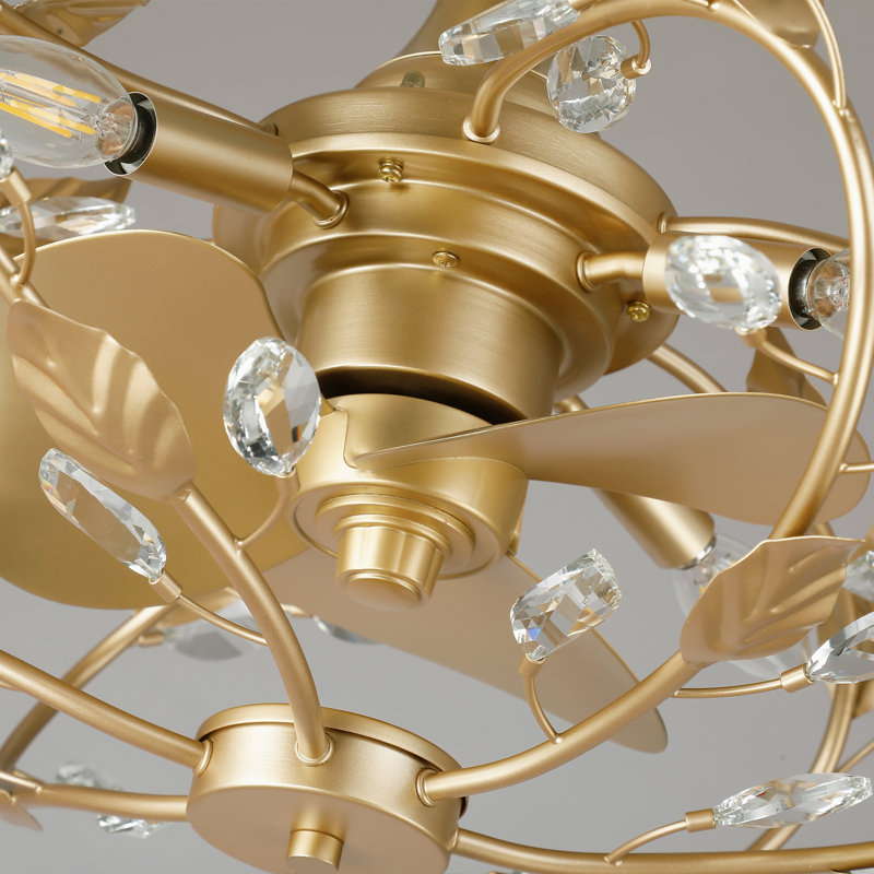 Ventilateur de plafond en cage de 24 po avec ensemble d'éclairage et télécommande