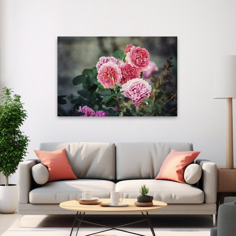 Plantes, fleurs, roses d'Ecosse I, art mural, H 40 po x l 60 po