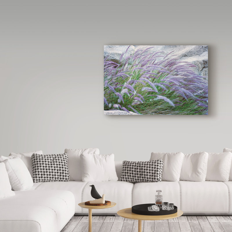 « mauve wild herbe ii », reproduction de photo sur toile tendue, H 12 po x l 19 po x P 2 po
