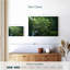 Arbre japonais Alvord-107719014