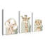 Animals 3 - Piece