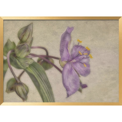"Purple Flower" Framed Textured Wall Art