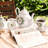 DNGJU 30.7oz. Floral Teapot Set