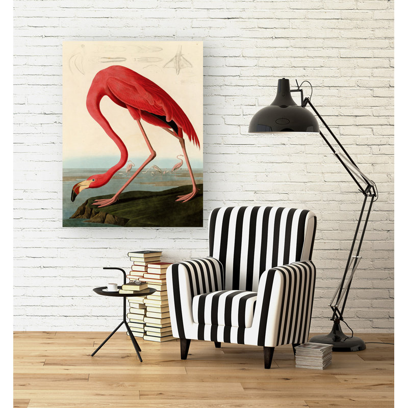 American Red Flamingo by John James Audubon - Wrapped Canvas Painting, 100cm H x 70cm W x 4cm D