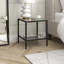 Hera Glass End Table with Storage-762684788