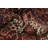 Vegetable Dye Traditional Area Rug 8x12