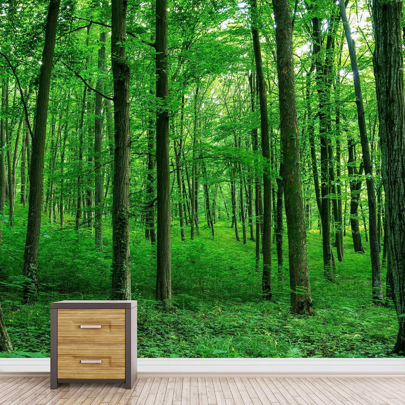 Adhésif mural vert forêt vibrante, L 100 po x l 144 po