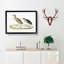 Two Herons by John Edward Gray - Framed Print-55614541-55614542