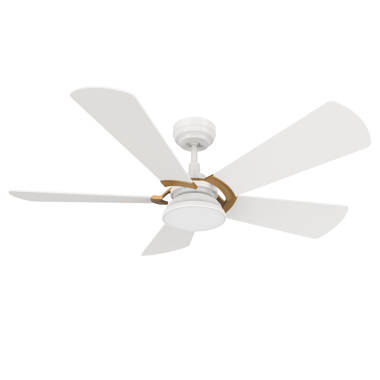 https://assets.wfcdn.com/im/94541856/resize-h380-w380%5Ecompr-r70/2092/209254317/Virendra+52%27%27+Ceiling+Fan+with+LED+Lights.jpg