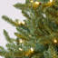 Arbre de Noël Albric North Valley-2128313201