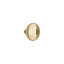 Roswell Bronze Round Knob-56413634