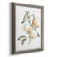 Watercolor Fruit Contour II - reproduction d'art sur toile-302913847-322055701