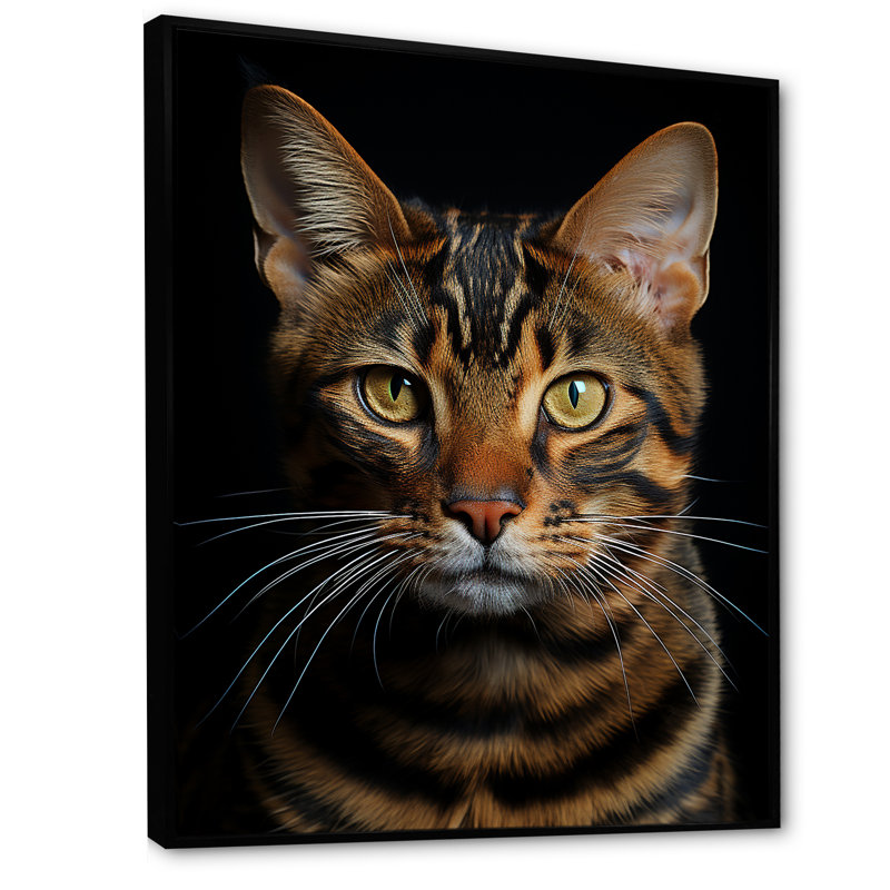 Chat, tigre, portrait de chat, H 40 po x l 30 po x P 1,5 po, Cadre flottant noir