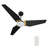 56" Smart DC Ceiling Fan with light, Remote control