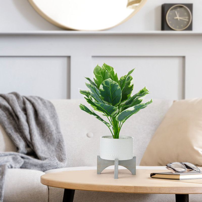 Scott Living Leaf Plant With Stand