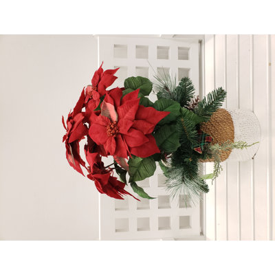 Arrangement floral de poinsettias en pot