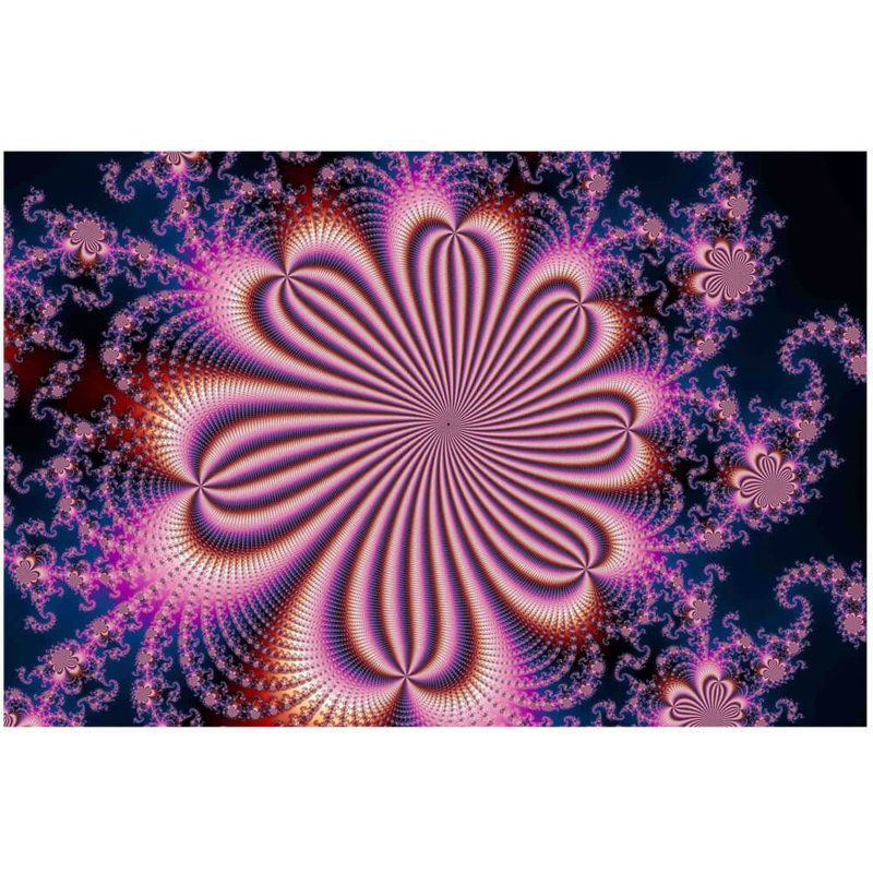 " Flower " by Mikael Backlund, 24" H x 36" W