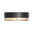 1 - Light Flush Mount