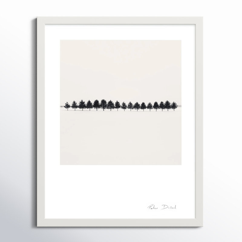 Seventeen Trees by Peter Dušek, 38" H x 30" W x 1.25" D, White