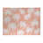 Corail