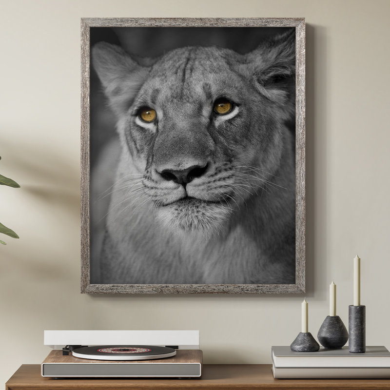Portrait de lionne, reproduction encadrée - bois massif, H 11 po x l 9 po