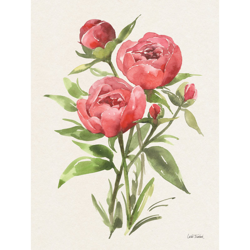 Pivoine II sur toile par Leslie Trimbach, H 16 po x l 12 po