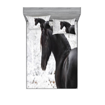 Microfiber Sheet Set