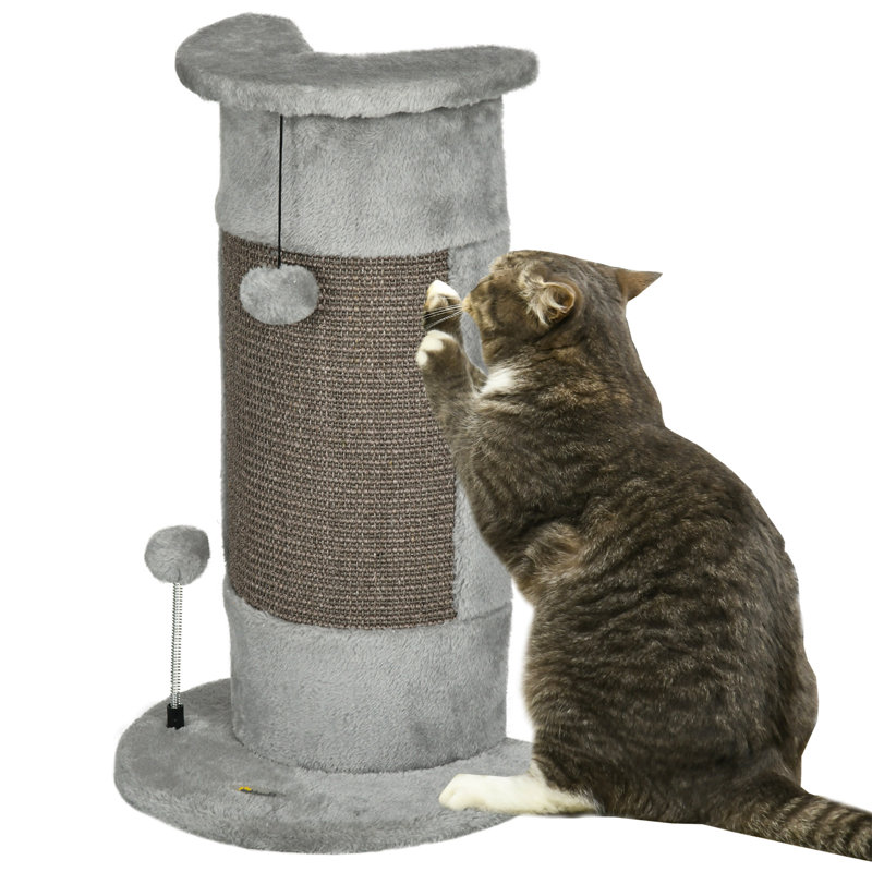 Ezequiel Scratching Post