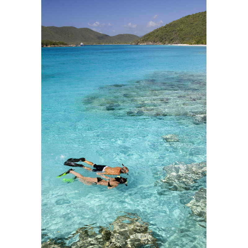 Couple Snorkeling by Cdwheatley - No Frame Print on Canvas, 46cm H x 30cm W