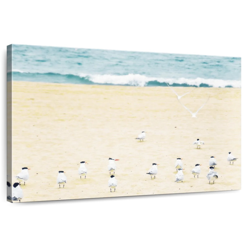 Relaxed Seagulls