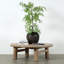 Solid Wood Coffee Table