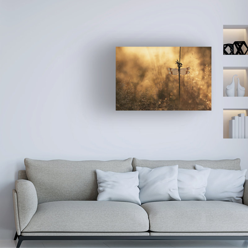 Art sur toile, «ologa Daan De Vos ici le soleil », H 22 po x l 32 po