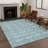 Machine Washable Indoor/Outdoor Chantille ACN2682 Floral Rug-2022475929-2022475923