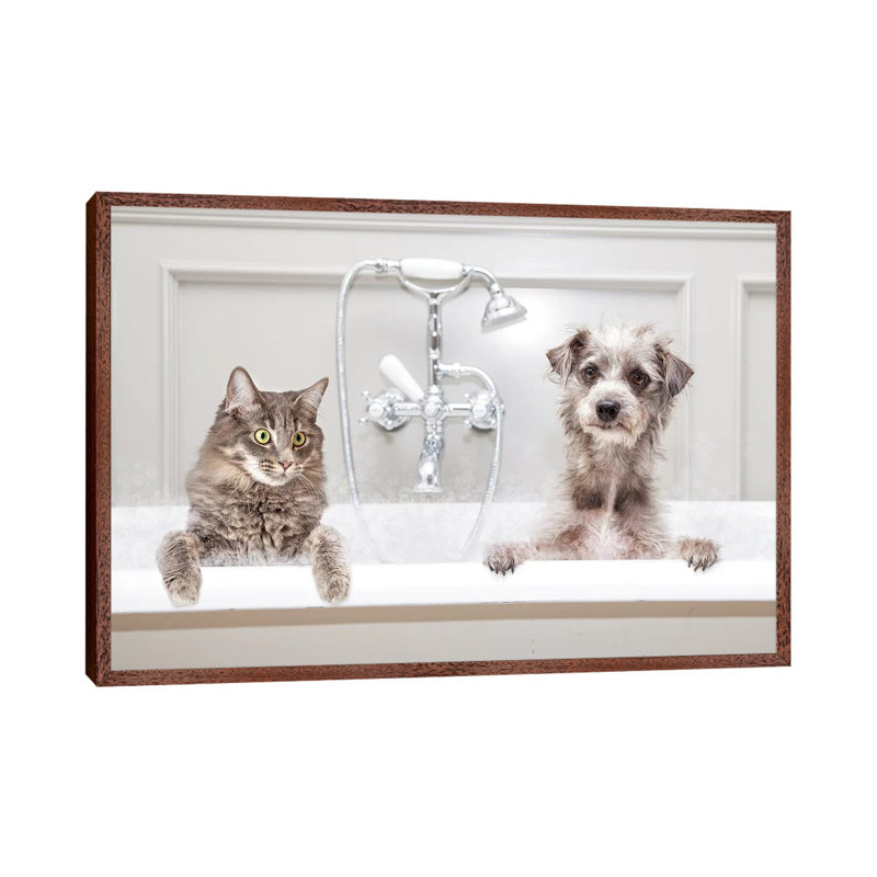 Dog and Cat in Bathtub Together 1 Piece Wall Art on Canvas, 66.04 cm H x 45.72 cm W, Classic Brown Wood Framed
