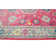 Larrick Oriental Indoor Rug