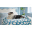 Couverture pour chien et chat Lesure-113472964-113472967