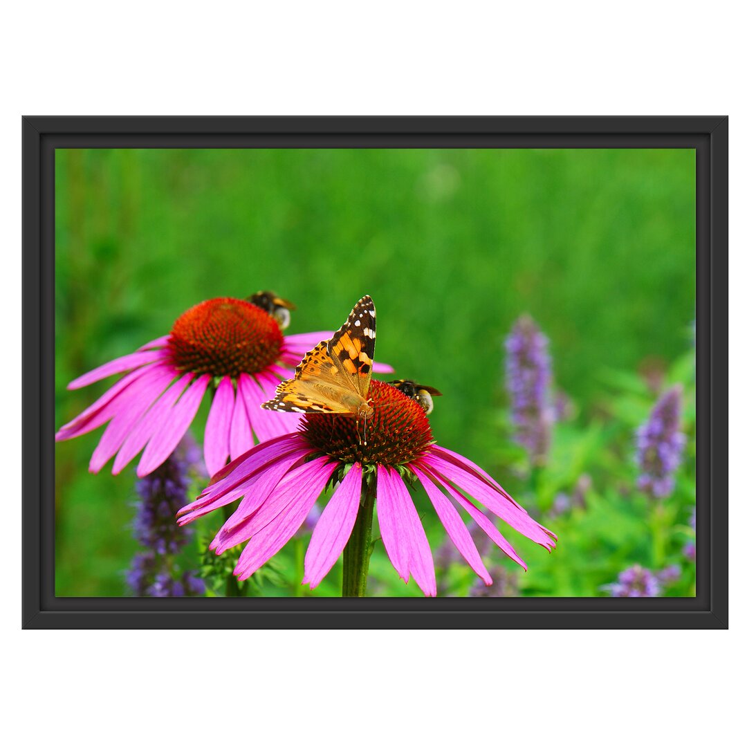 Gerahmtes Wandbild Schmetterling auf Blüte